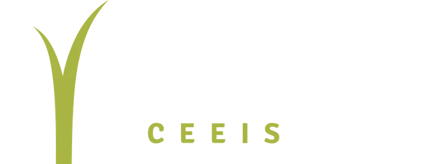Logotipo de CEEIS Interpola
